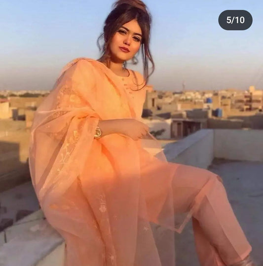 3 Pcs Women's Stitched Embroidered Suit